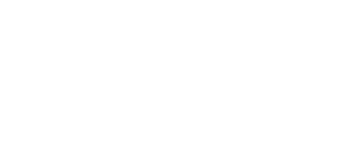World Visa Academy